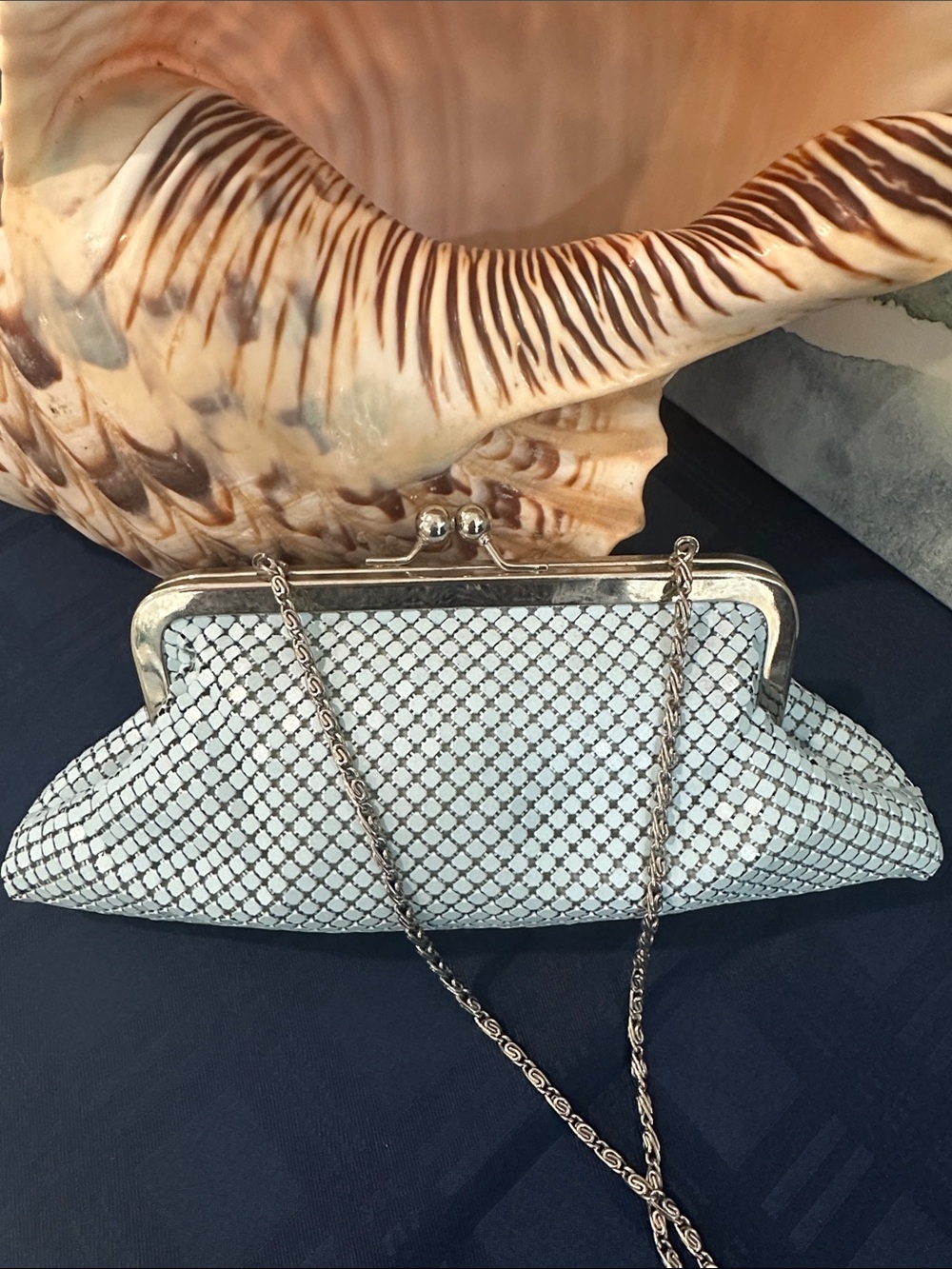 Vintage Silver-White Mesh Evening Clutch with Chain